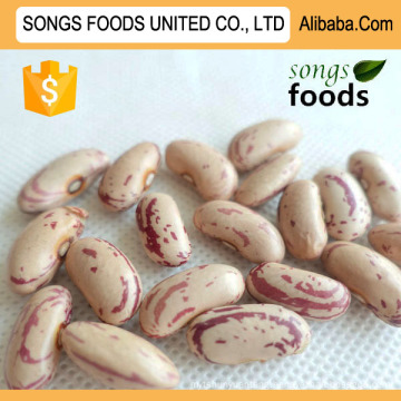 Chinese Kidney Beans Light Speckled Kidney Beans